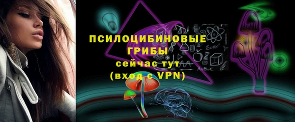 прущий лед Каменка