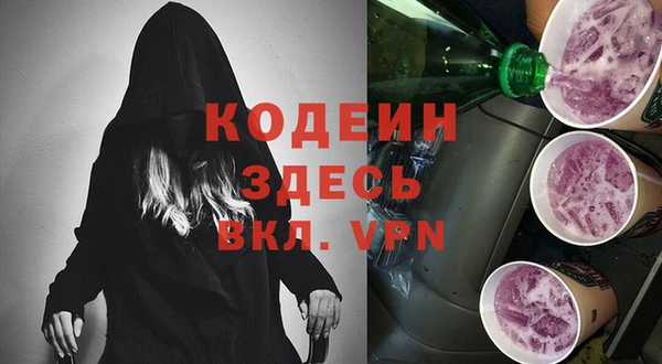 прущие грибы Карпинск