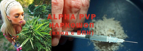 альфа пвп Каменногорск